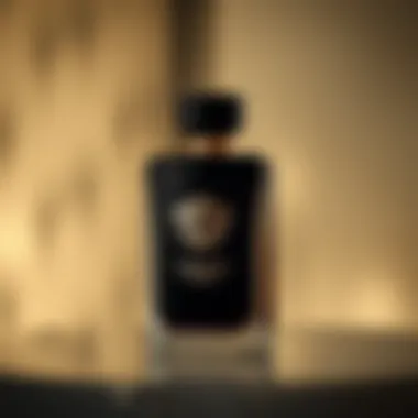 Magnificent A Comprehensive Exploration of Versace Crystal Noir Cologne