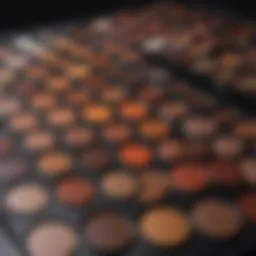 A Comprehensive Exploration of the Morphe 360 Palette Introduction