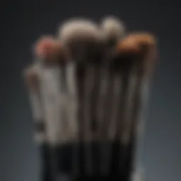A variety of budget-friendly makeup brushes on display