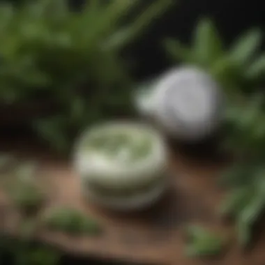 Botanical Tattoo Balm Botanical tattoo balm surrounded by fresh herbs