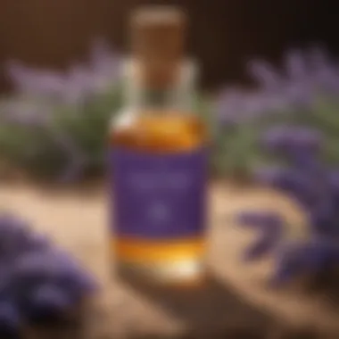 Therapeutic Lavender Oil for Sunburn Soothing Calming Lavender Essential Oil
