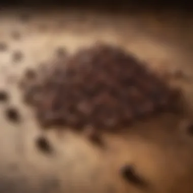 Close-Up of Castor Seeds on a Wooden Background