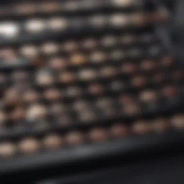 Opulent Palette: Chanel Matte Eye Shadows Luxurious Chanel Matte Eye Shadow Palette