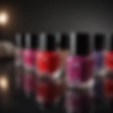 Chanel Nail Polish Gift Set Displaying Rich Color Palette