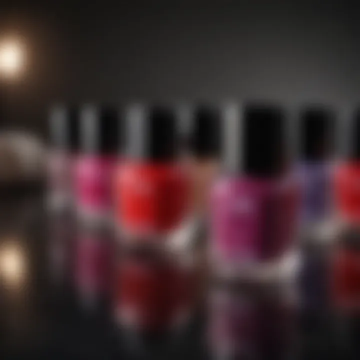 Chanel Nail Polish Gift Set Displaying Rich Color Palette