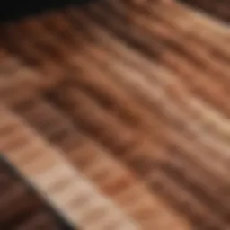 A vibrant chart showcasing hair color swatches suitable for warm neutral skin tones