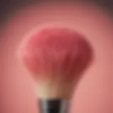 Detailed view of ColourPop blush brush bristles showcasing their softness and precision