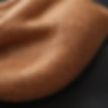 Close-up of the texture and material of back self tanner mitts