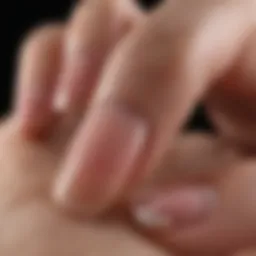 Anatomy of a nail highlighting layers and structure