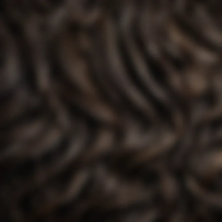 Close-up of dark ref hair with lustrous waves