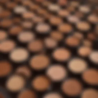 Exploring Tarte Concealer Shades Close-up of Tarte concealer shades on skin swatches