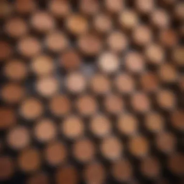 Variety of Tarte Concealer Formulations Tarte concealer in various formulations displayed elegantly