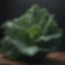Nutrient-packed kale leaves
