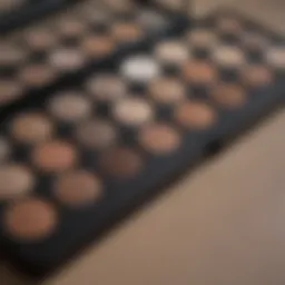 Neutral eye shadow palette in elegant packaging