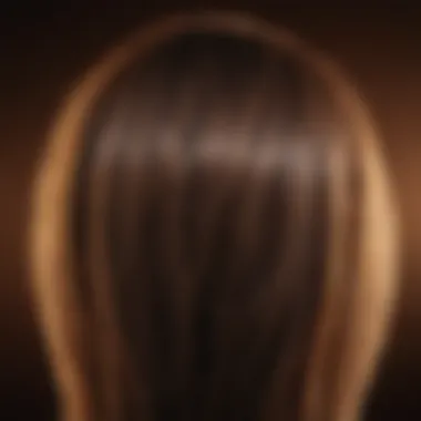 Hair Shielded from Heat Damage Hair strands shielded from heat damage