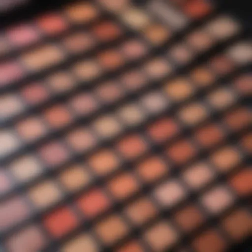 Close-up of the Kris Jenner makeup palette showcasing vibrant colors