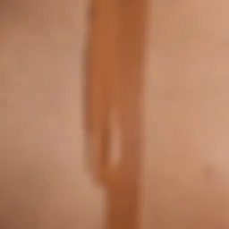 Close-up of luminous foundation swatches on diverse skin tones.