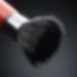 Black hair dye application brush