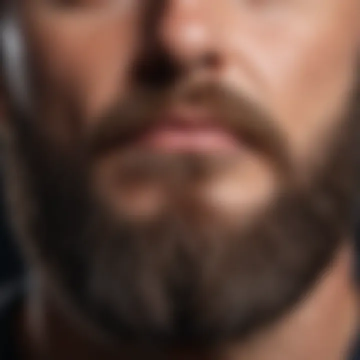 Close-up of a well-groomed beard and skin