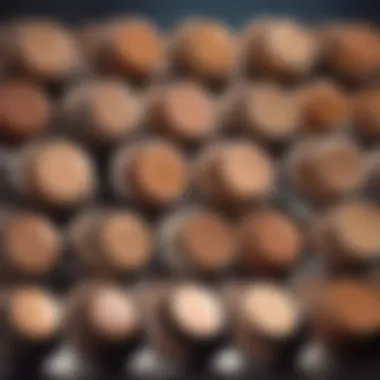 Exploring Maybelline Foundation Shades Color swatches showcasing Maybelline foundation shades