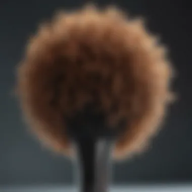 Gentle Detangling Brush for Curly Hair