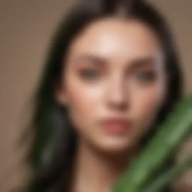 Moisturizing Aloe Vera Blend Hydrating Aloe Vera Lotion for Smooth Hair