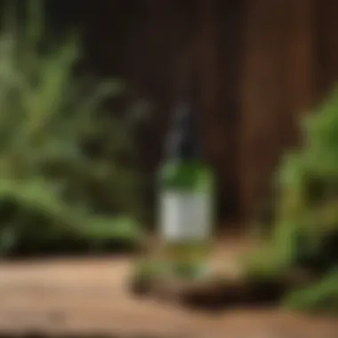 An elegant glass bottle containing a moss-infused skincare product, displayed on a natural wood surface.