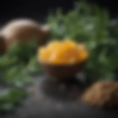 Natural Ingredients in Ouia Haircare Close-up of natural ingredients used in Ouia formulations