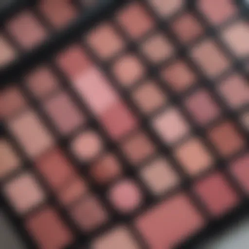 Pink-Toned Eyeshadow Palette Palette