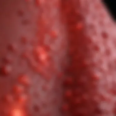 Close-up of skin cells reacting to red light