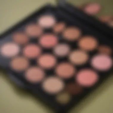 A palette of blush shades ideal for olive skin tones placed on a vanity