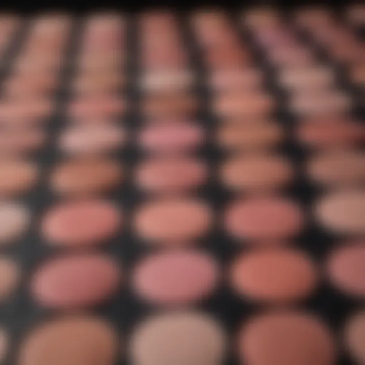 Comparison of blush swatches on different skin undertones