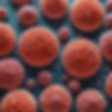 Illustration depicting skin cancer cells under microscope