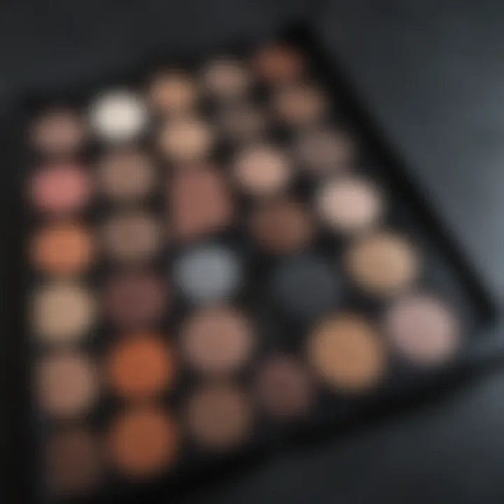 Sleek Sophistication: Cruelty-free eyeshadow palette in sleek, modern design