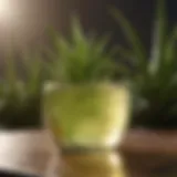 Soothing Aloe Vera Gel