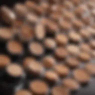 Variety of Foundation Shades for Combination Skin Illustration showcasing a spectrum of foundation shades for combination skin