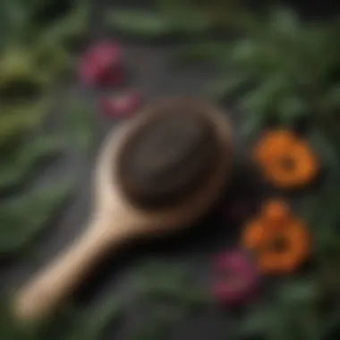 Botanical Ingredients for Hair Health Close-up of a vibrant hairbrush surrounded by botanical ingredients.