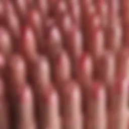 A close-up of various pinky nude lipstick shades arranged artistically.