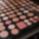 A palette of blush shades on a vanity