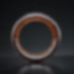An elegant depiction of a high-quality penis ring