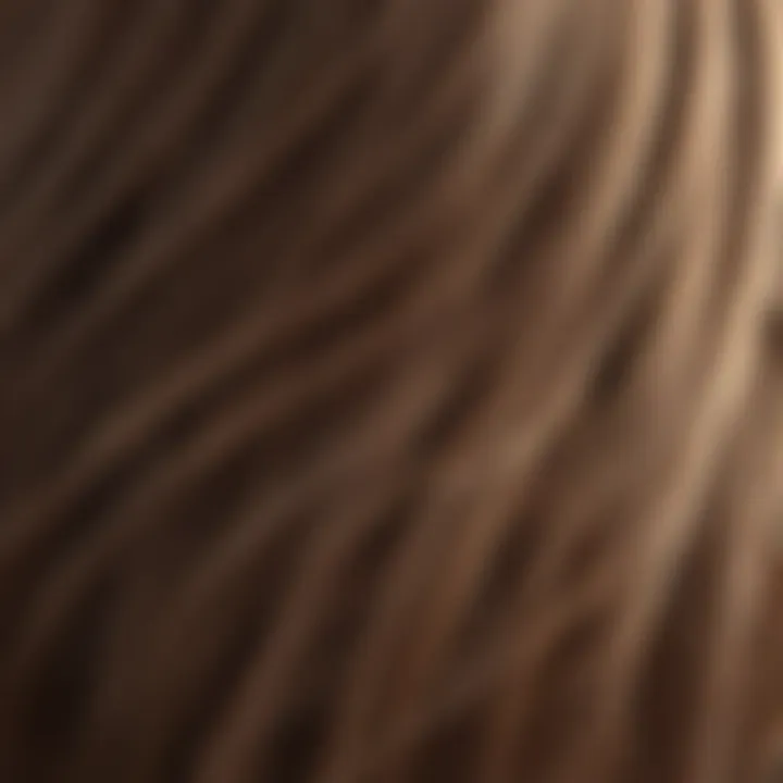 Close-up of hair strands with shiny texture