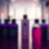 The Leading Purple Shampoos of 2021: An In-Depth Analysis Introduction