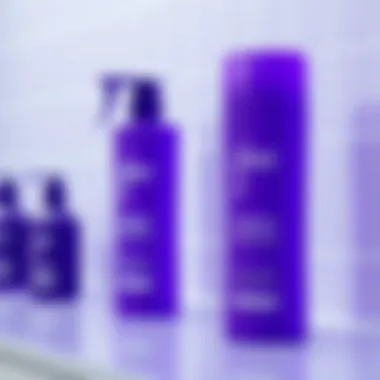 Notable The Leading Purple Shampoos of 2021: An In-Depth Analysis