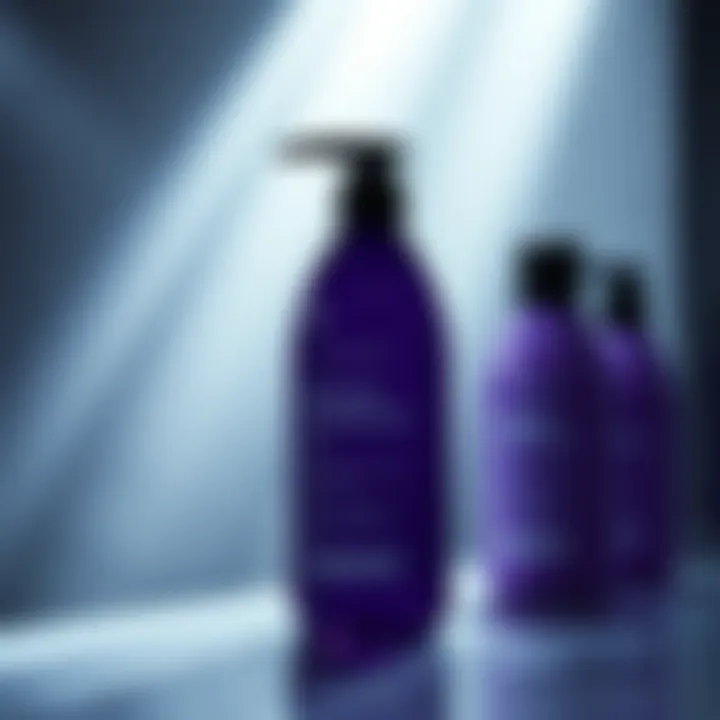 The Leading Purple Shampoos of 2021: An In-Depth Analysis Summary