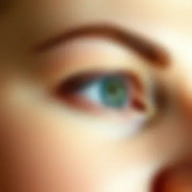 The Optimal Clean Eye Cream for Wrinkles: A Comprehensive Exploration Summary The Optimal Clean Eye Cream for Wrinkles: A Comprehensive Exploration Summary