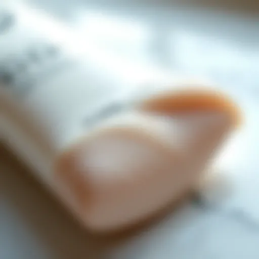 A close-up of a luxurious primer texture on a surface