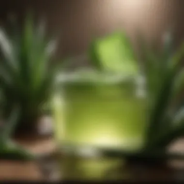 Organic Aloe Vera Gel for Burn Relief