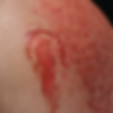 Close-up of itchy red skin bumps