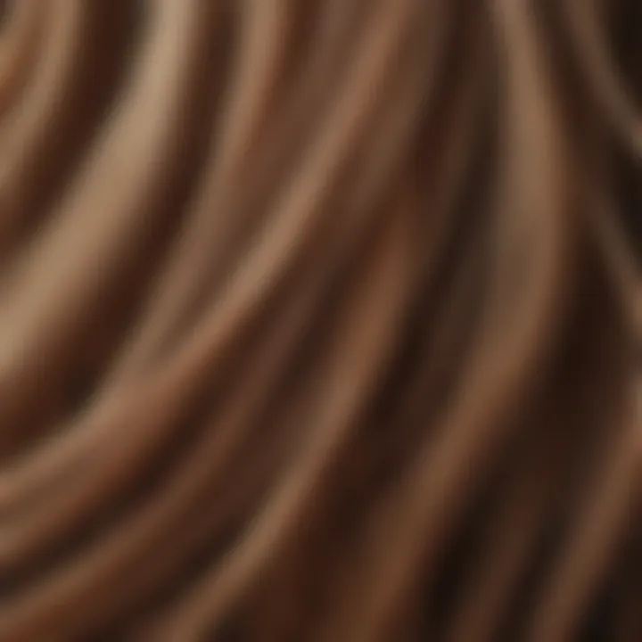 A close-up of healthy hair strands showcasing their structure.