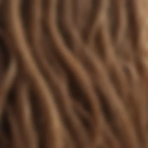 Illustration of hair strands illustrating different porosity levels